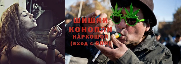 spice Козельск