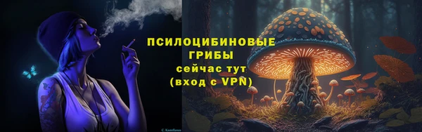 дурь Кинешма