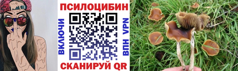Псилоцибиновые грибы Cubensis  магазин  наркотиков  Малгобек 