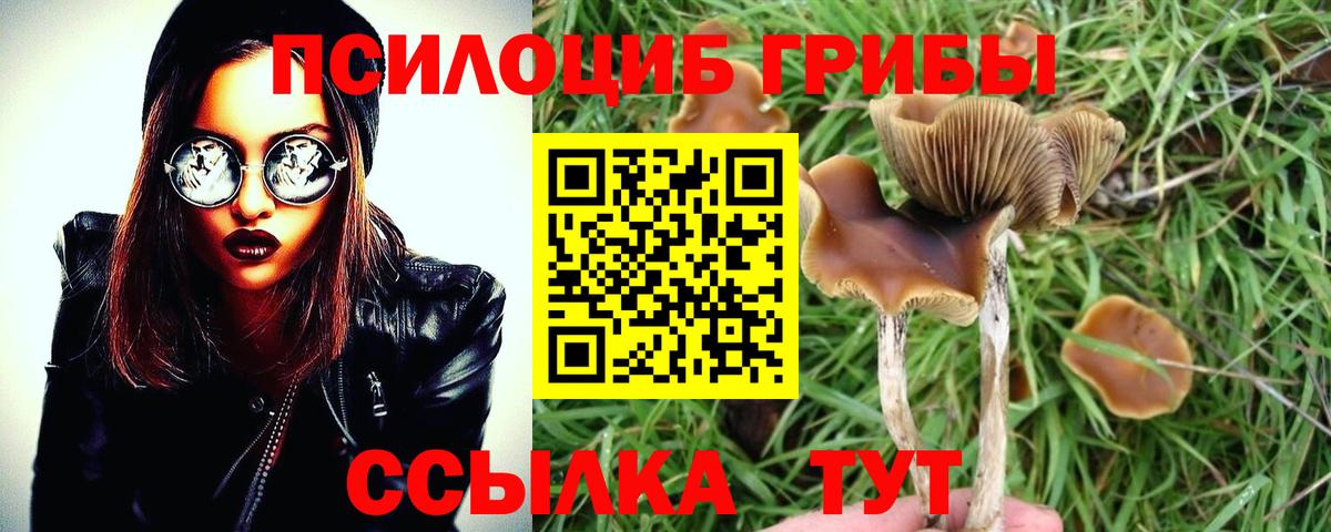 Псилоцибиновые грибы MAGIC MUSHROOMS  Вход с VPN  Малгобек  Псилоцибиновые грибы Psilocybe 