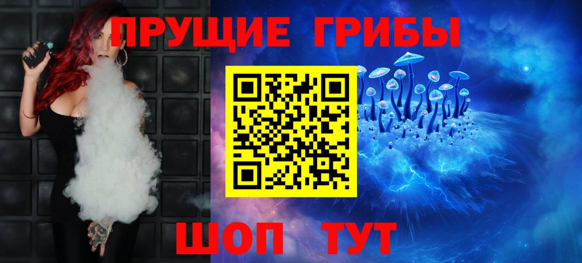 Псилоцибиновые грибы Cubensis Малгобек